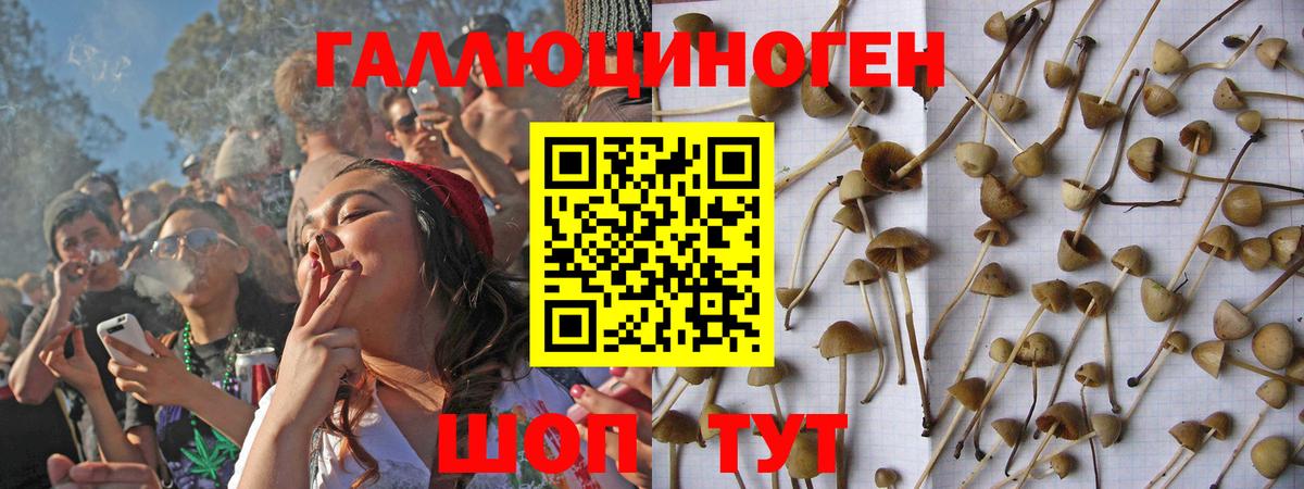 Галлюциногенные грибы Psilocybe  Псилоцибиновые грибы Psilocybe  Вход с VPN  Златоуст 