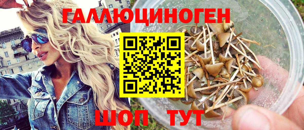 Псилоцибиновые грибы MAGIC MUSHROOMS Златоуст
